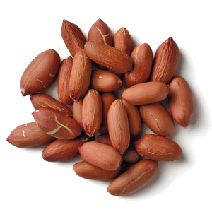 Peanut